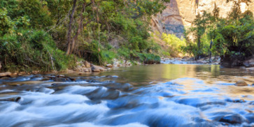 shallow rapids virgin river narrows zion national park utah 10585563
