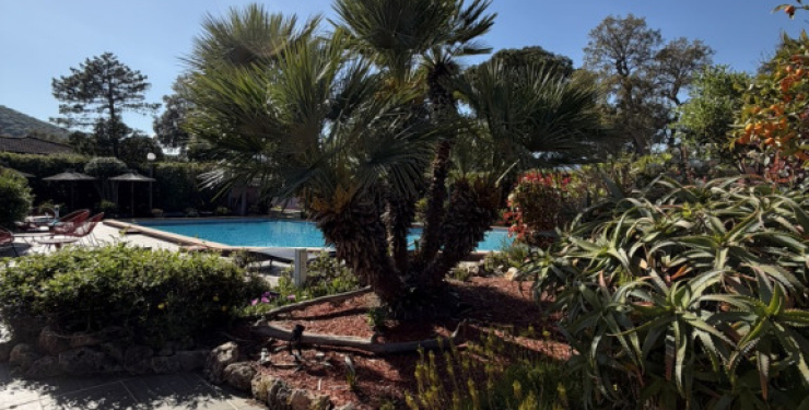 YUCCA2_3