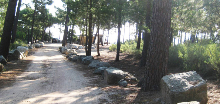 Chemin pour la plage de Pinarello dans les pins